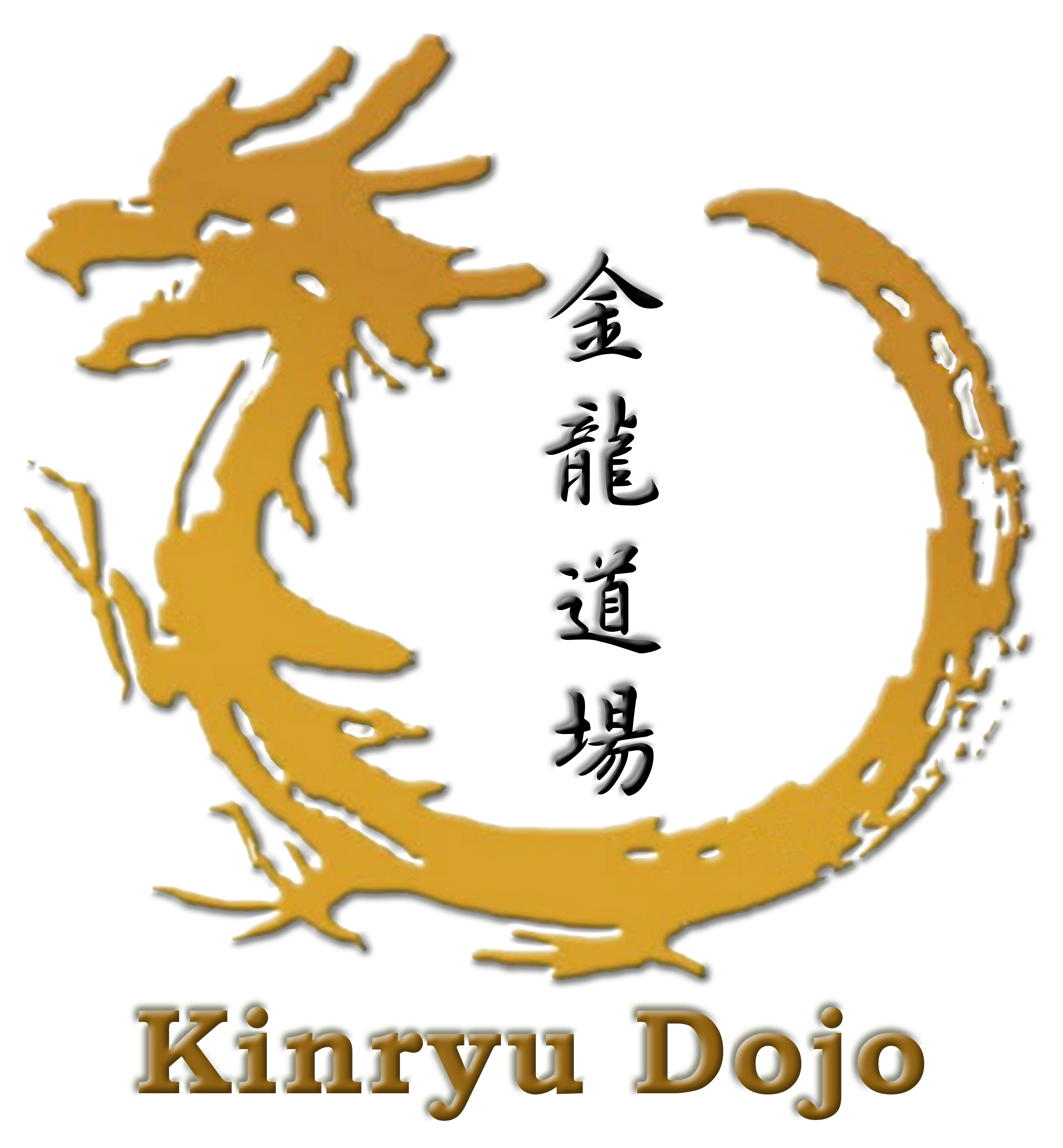 Kinryu Dojo Miami